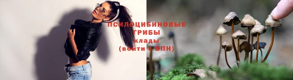 MDMA Арсеньев