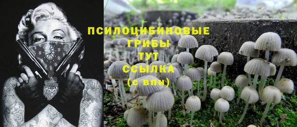 MDMA Арсеньев