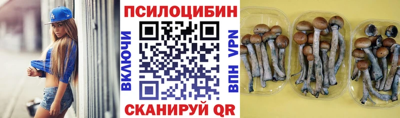 Галлюциногенные грибы MAGIC MUSHROOMS  Оха 